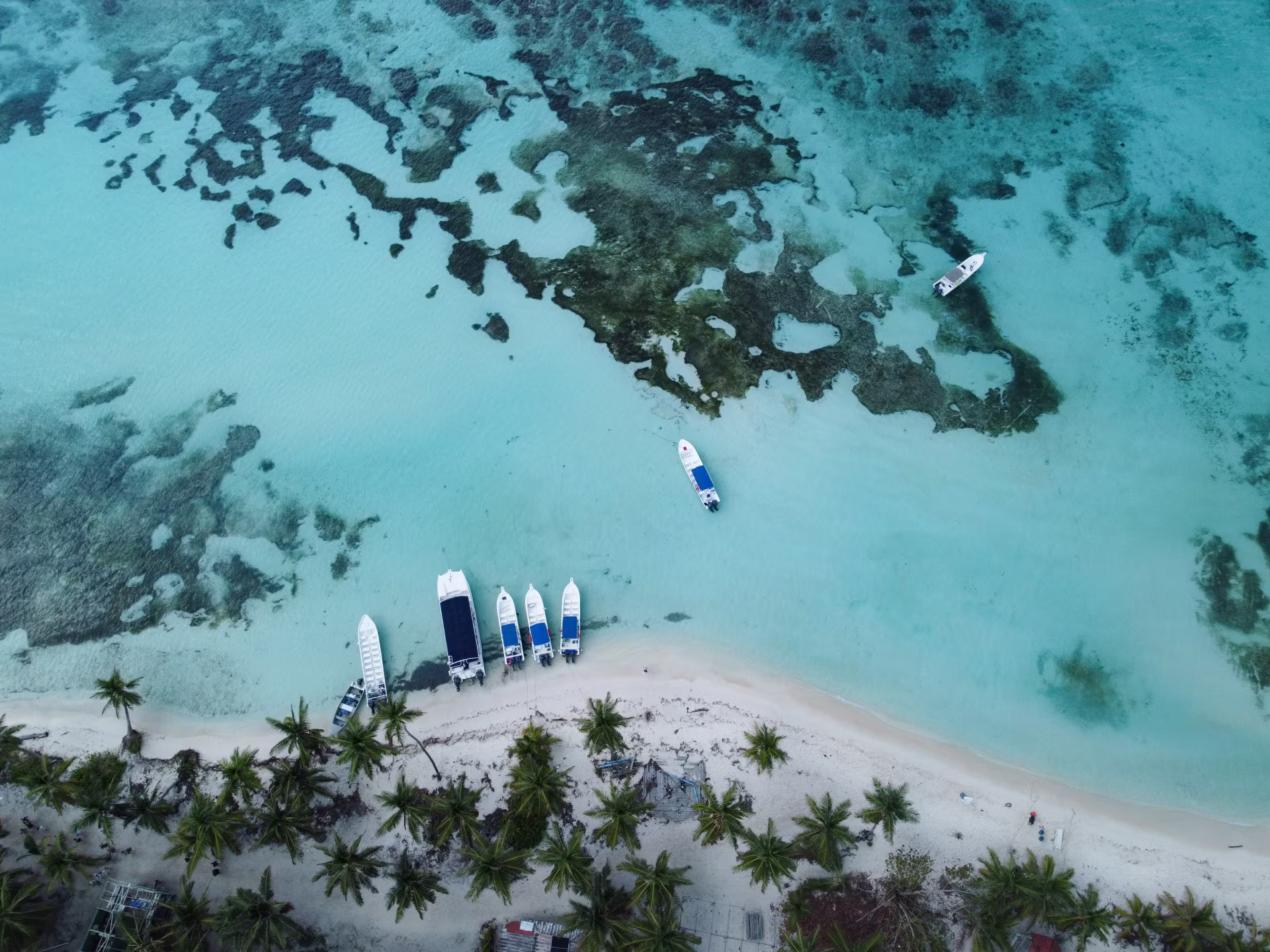 Heading to Saona: nature, history and snorkeling