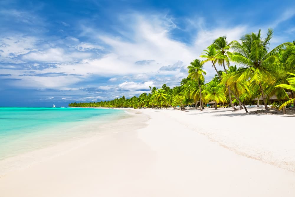 Saona